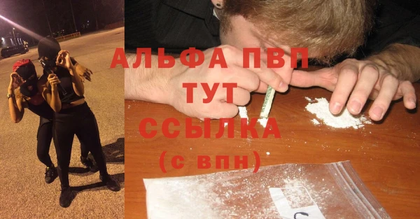 молекула духа Алексеевка