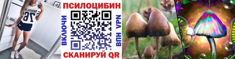 Галлюциногенные грибы мицелий  Дивногорск 